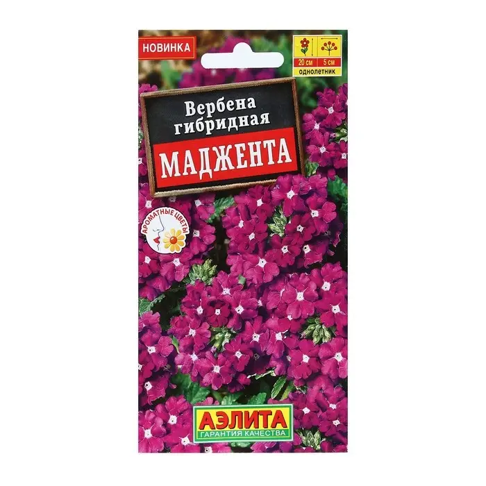 Семена Цветов Вербена  Семена Цветов Вербена "Маджента", 10 шт