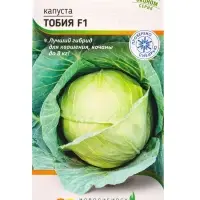 Семена Капуста «Тобия» 10 шт. Семена Капуста «Тобия» 10 шт.