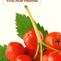 Бальзам для волос с натуральным экстрактом рябины, природное укрепление, 250 мл