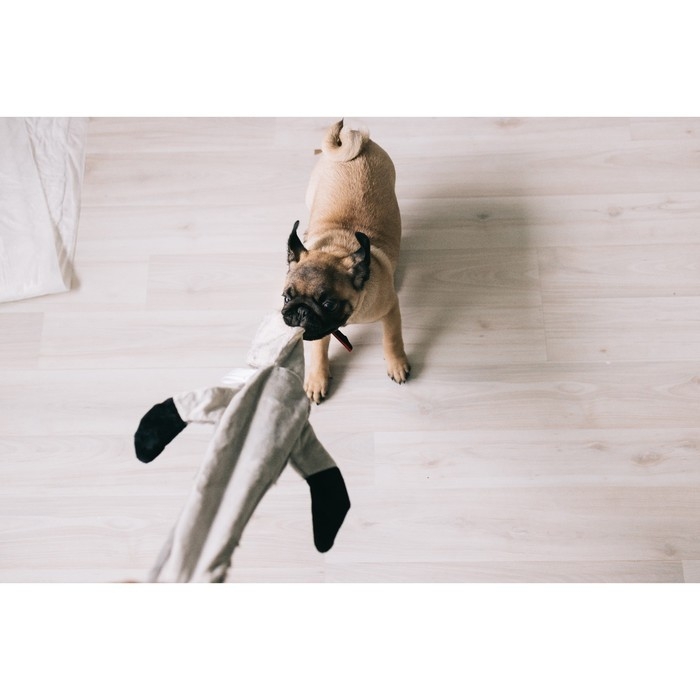 Игрушка текстильная Игрушка текстильная "Енот", 60 х 31 см