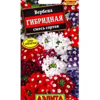 Семена цветов Вербена &laquo;Гибридная&raquo;, смесь сортов, 0.1 г, 20 шт.