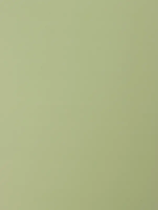 Пленка флористическая для цветов &laquo;Звездопад&raquo;, нежно-зелёная, 57&times;57 см