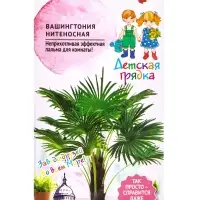 Семена цветов Вашингтония &laquo;Нитеносная &raquo; &laquo;Детская грядка&raquo; 5 шт.