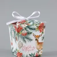 Бонбоньерка &laquo;С Новым годом!&raquo;, 7.5&times;8&times;7.5 см