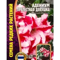 Семена цветов Адениум Прелестная Девушка  3 шт. 12.29 г.