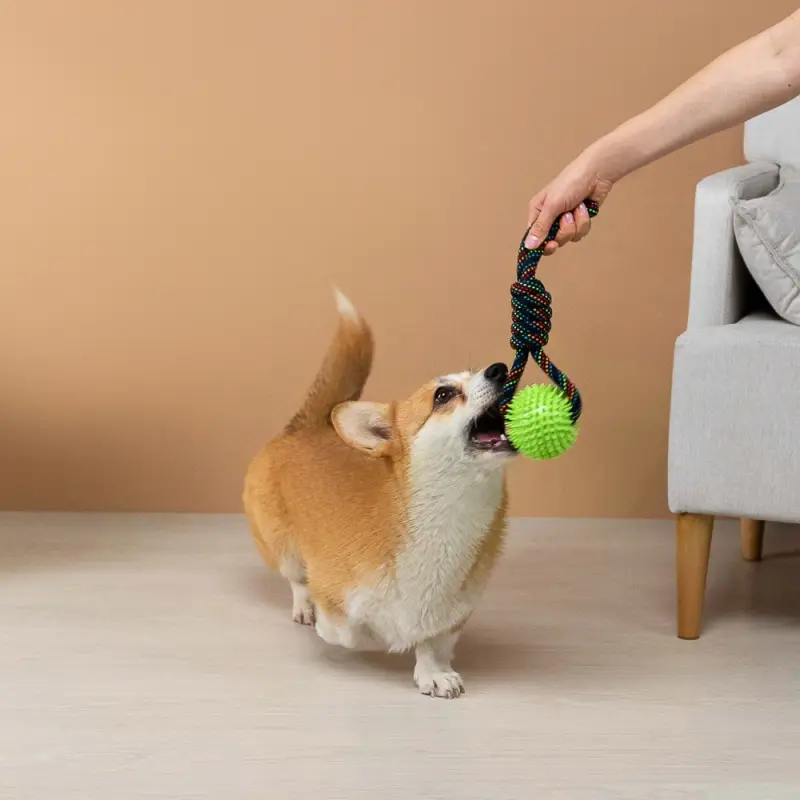 VETTA Игрушка для домашних животных, ПЭ, хлопок, ТПР, 34 см