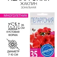 Семена цветов Пеларгония "Жаклин", красная с коричневым листом, F1, 4 шт