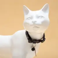 Ошейник для кошек &laquo;Рыбёшка&raquo;, 30&times;1 см, светящийся, с бубенчиком и подвесом, полиэстер, чёрный