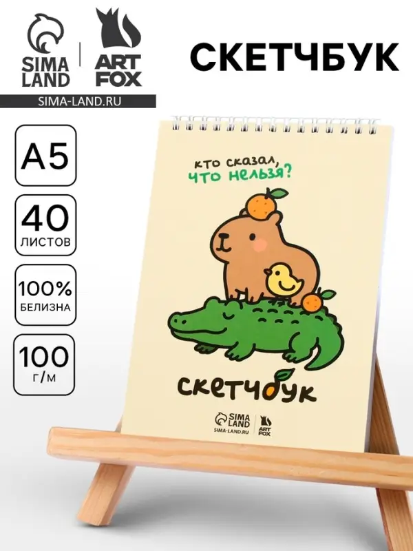 Скетчбук А5, 40 л. 100 г/м&sup2; &laquo;Кто сказал, что нельзя?&raquo;