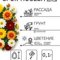 Семена цветов Георгина &laquo;Веселые ребята&raquo;, однолетник, 0.1 г, &laquo;Сембат&raquo;