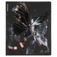 Тетрадь 48 листов в клетку, ErichKrause Glass Butterflies, 60 г/м&sup2;, МИКС