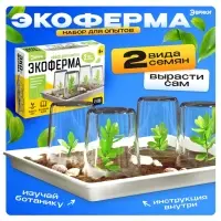 Набор для опытов &laquo;Экоферма&raquo;, своими руками