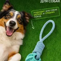 Игрушка канатная, плетёная с мячом, до 30 см, до 120 г, голубая