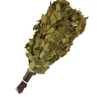 Веник для бани, берёзовый, 50 см, упаковка МИКС