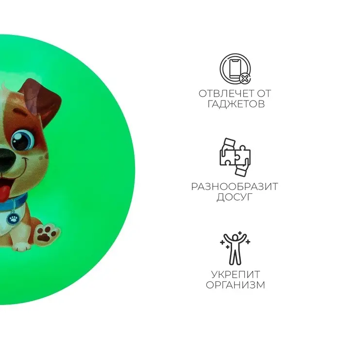 Мяч детский «Пёсик», d=22 см, МИКС Мяч детский «Пёсик», d=22 см, МИКС