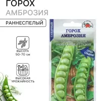 Семена Горох сахарный &laquo;Амброзия&raquo;, раннеспелый, 10 г, &laquo;Золотая сотка Алтая&raquo;