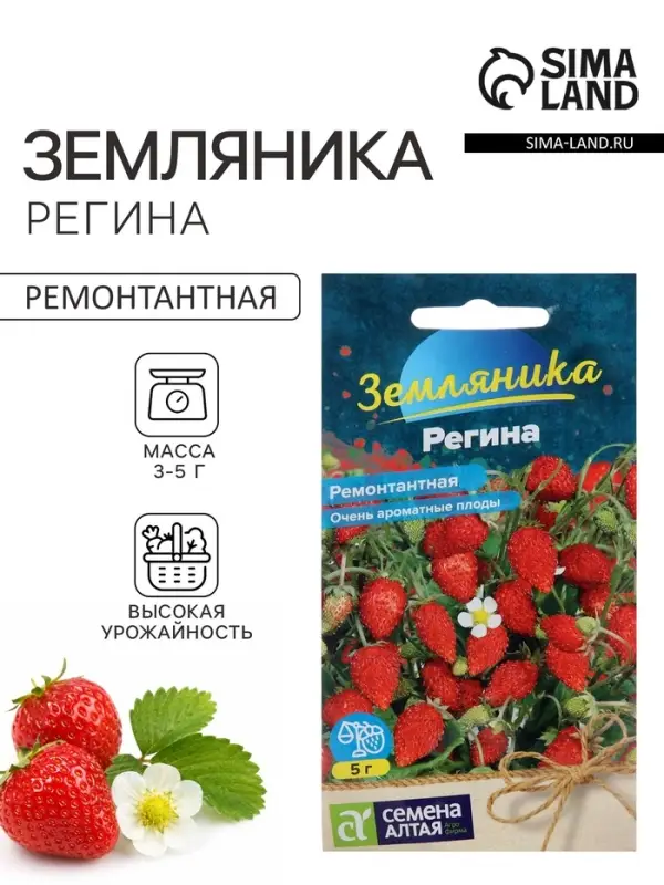 Семена Земляника &laquo;Регина&raquo;, ремонтантная, 0.03 г, &laquo;Семена Алтая&raquo;