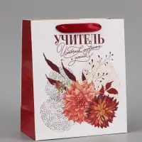 Подарочный набор &laquo;Учитель&raquo;, пакет и открытка, ML 27 &times; 23 &times; 11,5 см
