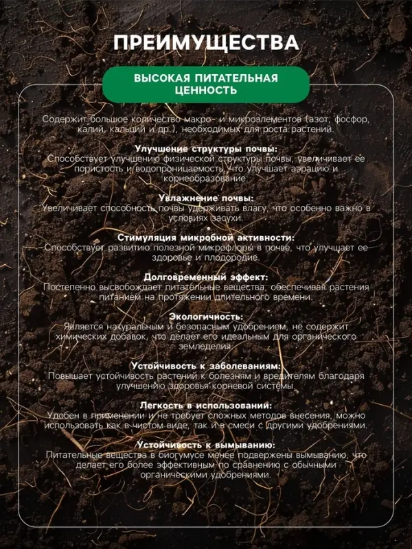 Органическое удобрение Биогумус Универсальное, концентрат, Ивановское, канистра, 3 л