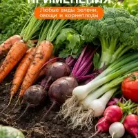 Удобрение минеральное для зелени, овощей, корнеплодов, Dr.Grunt, 120 г