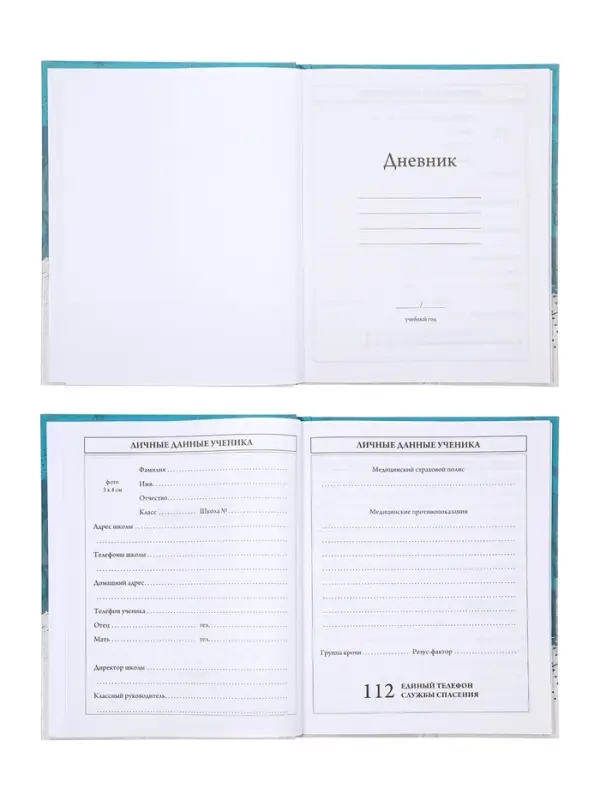 Дневник школьный для 1-4 классов &laquo;Тигр&raquo;, твёрдая обложка, глянцевая ламинация, 48 листов