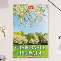 Календарь перекидной на ригеле А3 "Очарование природы" 2025, 32 х 48 см