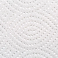 Бумага туалетная д/дисп Premium V-сл 2сл бел 250л 15пач/уп_5083735 п/э