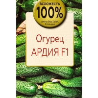 Семена Огурец Ардия F1, «Всхожесть 100%», 5 шт.
