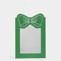Пакет подарочный с окном &laquo;Бант&raquo;, 19&times;26&times;13 см, зеленый