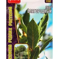 Семена Лавр Благородный 2 шт. / НОВИНКА  12.29 г.