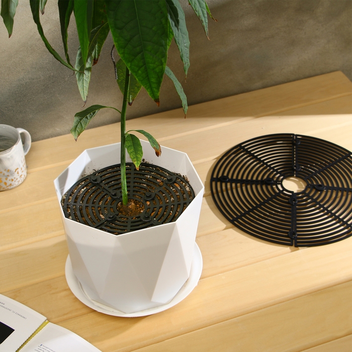 Защитная решётка для комнатных растений, от кошек, d = 19,5 см, пластик