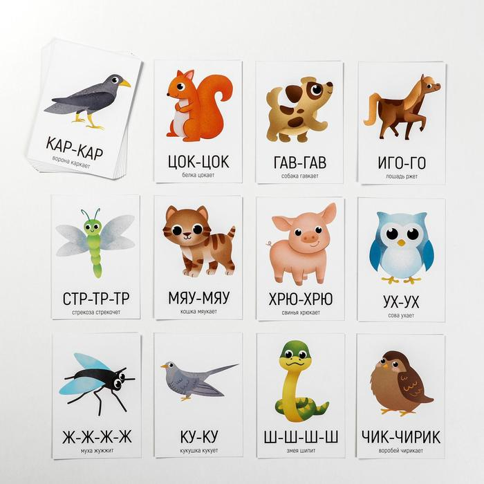 Развивающий набор 6 в 1 «Запуск речи» для комплексного развития, 2+ Развивающий набор 6 в 1 «Запуск речи» для комплексного развития, 2+