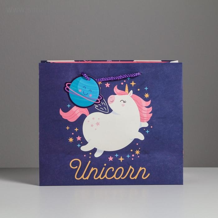 Пакет подарочный, упаковка, &laquo;Unicorn&raquo;, 27 х 23 х 11,5 см
