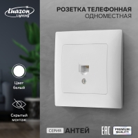 Розетка телефонная одноместная Luazon Lighting "Антей", скрытая, белая