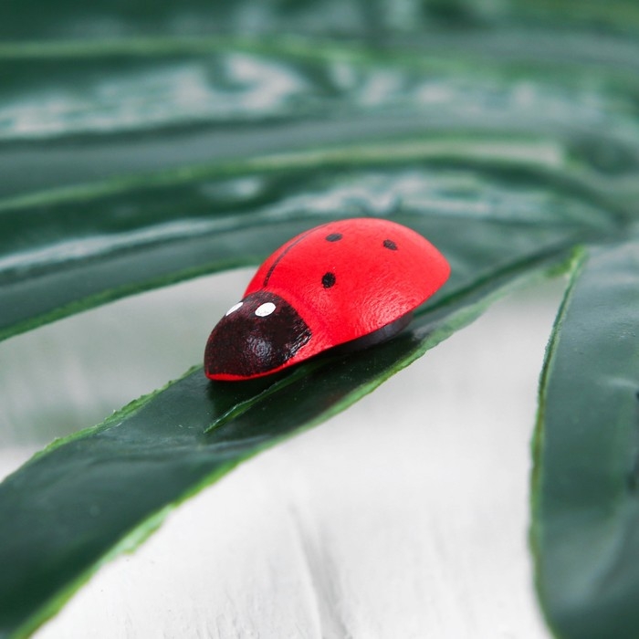 Набор магнитов «Божья коровка», 20 шт., красный Набор магнитов «Божья коровка», 20 шт., красный