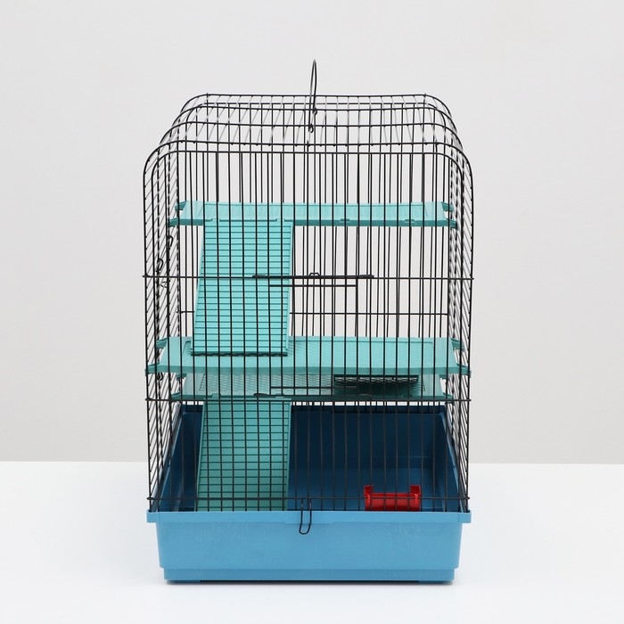 Клетка для грызунов Клетка для грызунов "Сеня 3-Б", 49 x 36 x 51 см, микс цветов