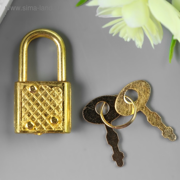 Замочек с ключиком для шкатулки металл набор 5 шт С286 золото 3,1х1,7 см Замочек с ключиком для шкатулки металл набор 5 шт С286 золото 3,1х1,7 см