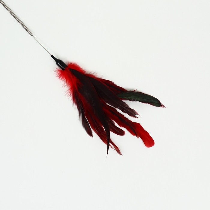 Дразнилка с перьями и 2 метал. бубенчиками и двойной ручкой (жёсткая/гибкая), 60 см, микс Дразнилка с перьями и 2 метал. бубенчиками и двойной ручкой (жёсткая/гибкая), 60 см, микс