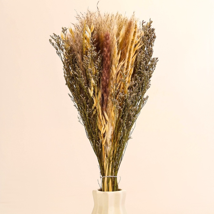 Букет из сухоцветов «Мечта», набор из 85 шт., высота 47 см