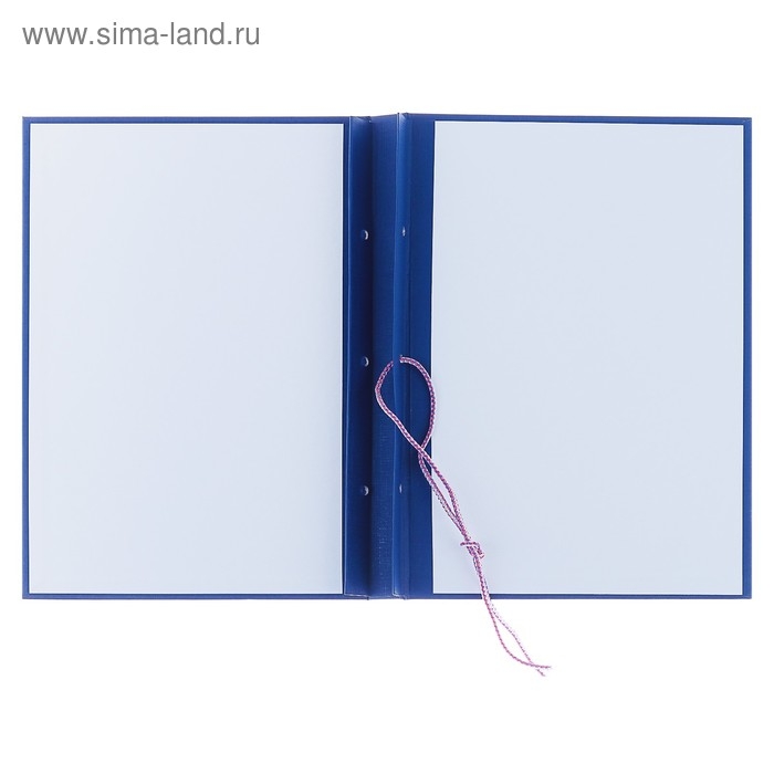Папка Папка "Дипломный проект" А4 бумвинил, гребешки/сутаж, без бумаги, синяя (вместимость до 300 листов)