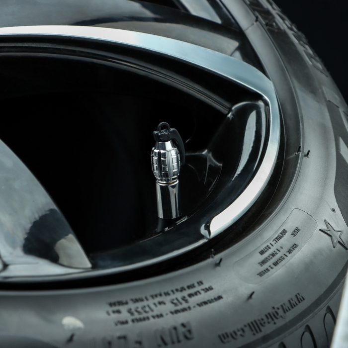 Колпачок на вентиль TORSO граната, хром, набор 4 шт Колпачок на вентиль TORSO граната, хром, набор 4 шт