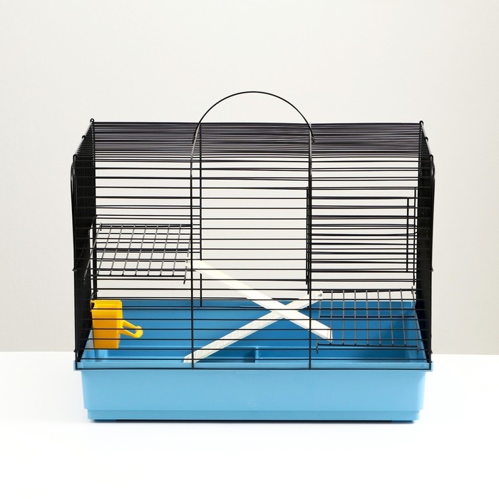 Клетка для грызунов Клетка для грызунов "Сеня 2-1", 50 x 37 x 37 см, микс цветов