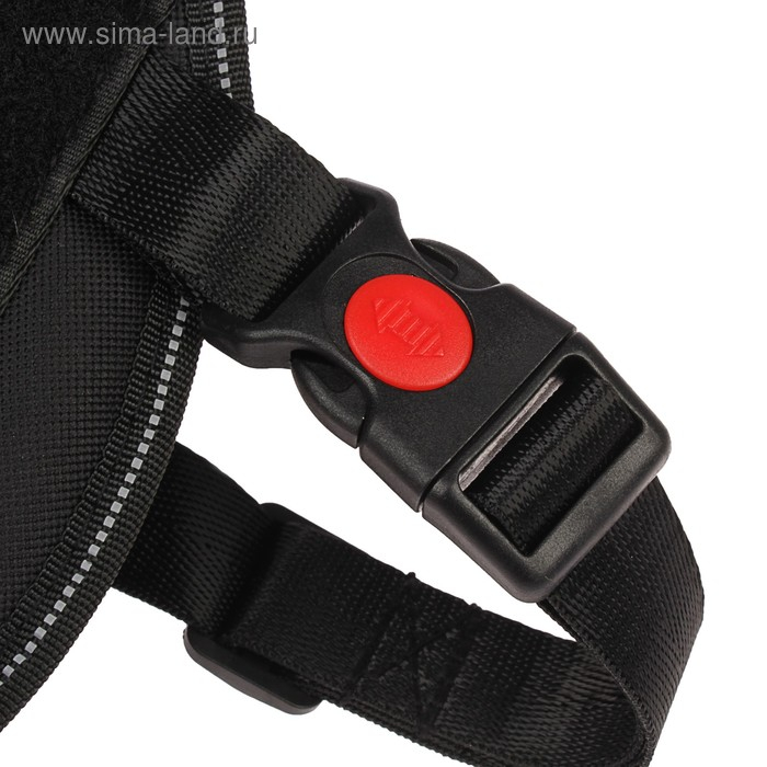 Шлейка К9 мягкая светоотражающая, размер S, ОГ 45-55 см, вес 5-12,5 кг, чёрная Шлейка К9 мягкая светоотражающая, размер S, ОГ 45-55 см, вес 5-12,5 кг, чёрная