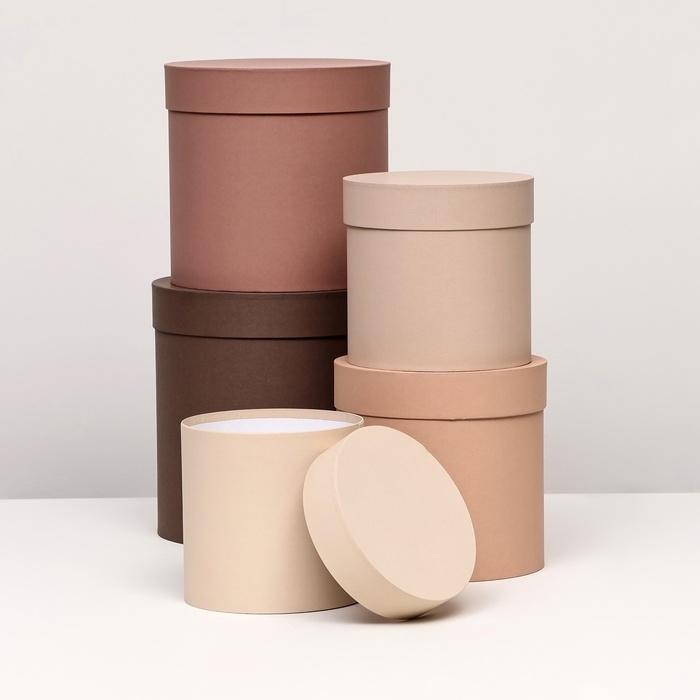 Набор шляпных коробок 5 в 1, коричневый, 23 х 23-15 х 15 см Набор шляпных коробок 5 в 1, коричневый, 23 х 23-15 х 15 см