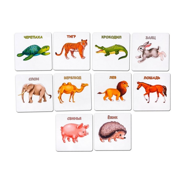 Набор карточек «Да или нет. Животные» Набор карточек «Да или нет. Животные»