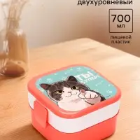 Ланч-бокс двухуровневый &laquo;Котик&raquo;, розовый, 700 мл
