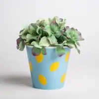 Набор кашпо для цветов 3 в 1 «Фрукты», 0,8 л, 11 х 12 см Набор кашпо для цветов 3 в 1 «Фрукты», 0,8 л, 11 х 12 см