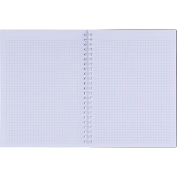 Бизнес-тетрадь, BS, А5, 80л., клетка, спираль. Botanica, агава N4185