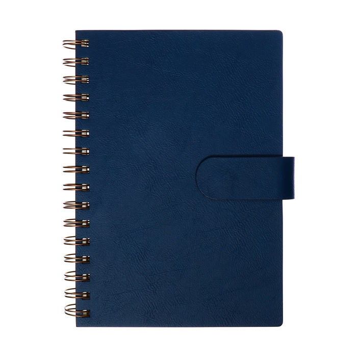 Органайзер на гребне, А5, 80л, клетка, обл.кожзам, с хлястиком, синий Органайзер на гребне, А5, 80л, клетка, обл.кожзам, с хлястиком, синий