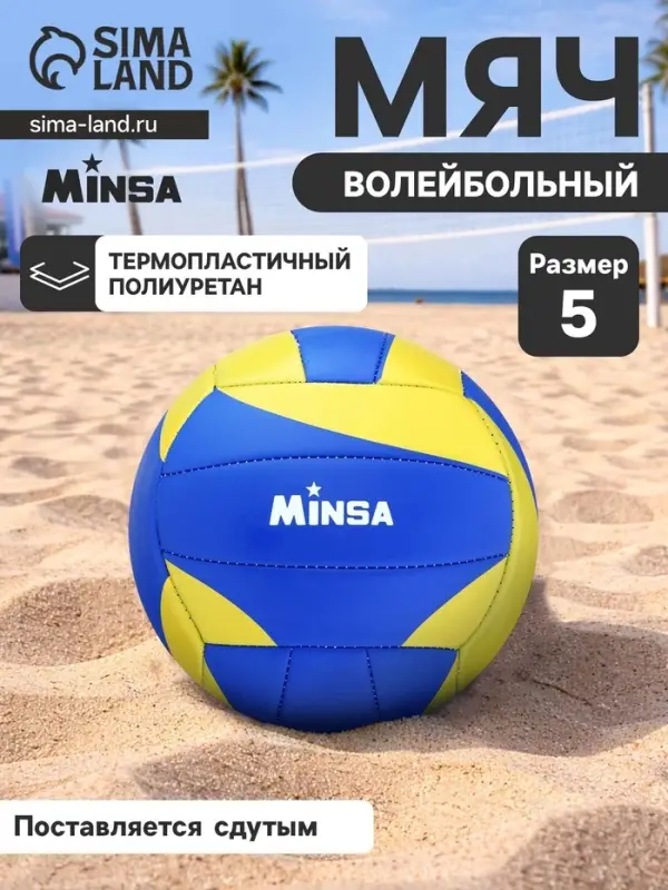 Волейбольный мяч MINSA, машинная сшивка, 18 панелей, р. 5, TPU